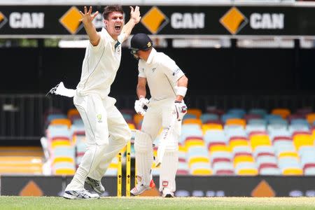 Australian bowler Mitchell Marsh (L) appeals to claim the wicket of New Zealand batsman Doug Bracewell (R), during the first cricket test match between Australia and New Zealand in Brisbane November 9, 2015. REUTERS/Patrick Hamilton