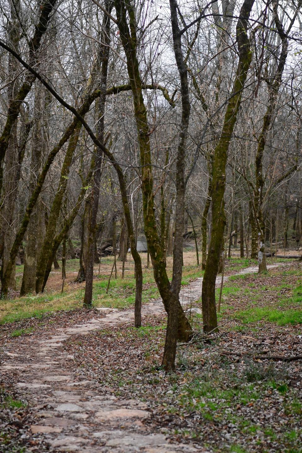 A trail at Collier Preserve, which is next to the Powell Library.