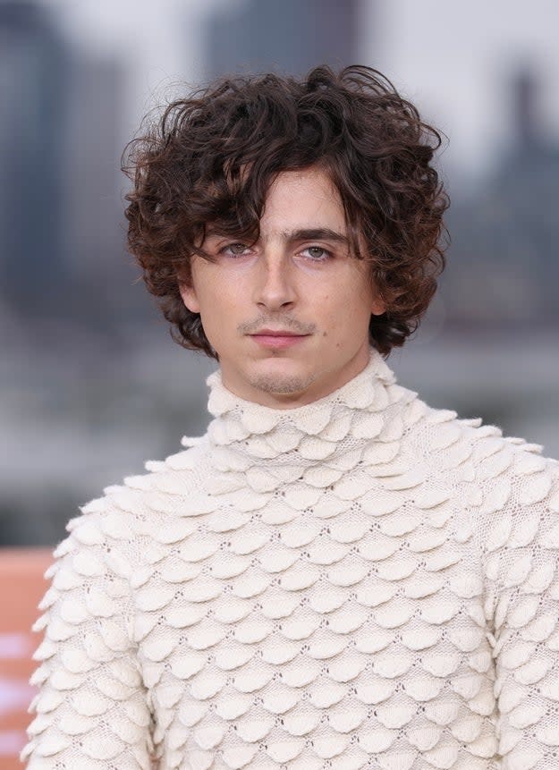 Timothée Chalamet on a red carpet in a high-neck, textured sweater