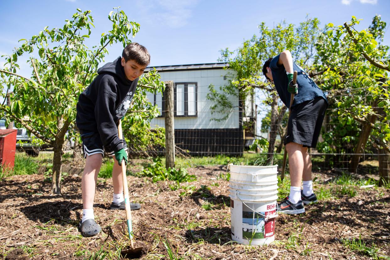 Maxwell Andrade, 11, left, and Miguel Andrade, 16, get rid of weeds at Black Joy Farm on April 21.