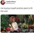 <p>*Starts talking to houseplant*</p><p><a href="https://www.instagram.com/p/CMdPCBwFHsD/" rel="nofollow noopener" target="_blank" data-ylk="slk:See the original post on Instagram;elm:context_link;itc:0;sec:content-canvas" class="link ">See the original post on Instagram</a></p>