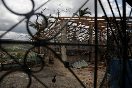 A home damaged by Hurricane Maria is seen in the Trujillo Alto municipality outside San Juan, Puerto Rico, October 9, 2017. REUTERS/Shannon Stapleton