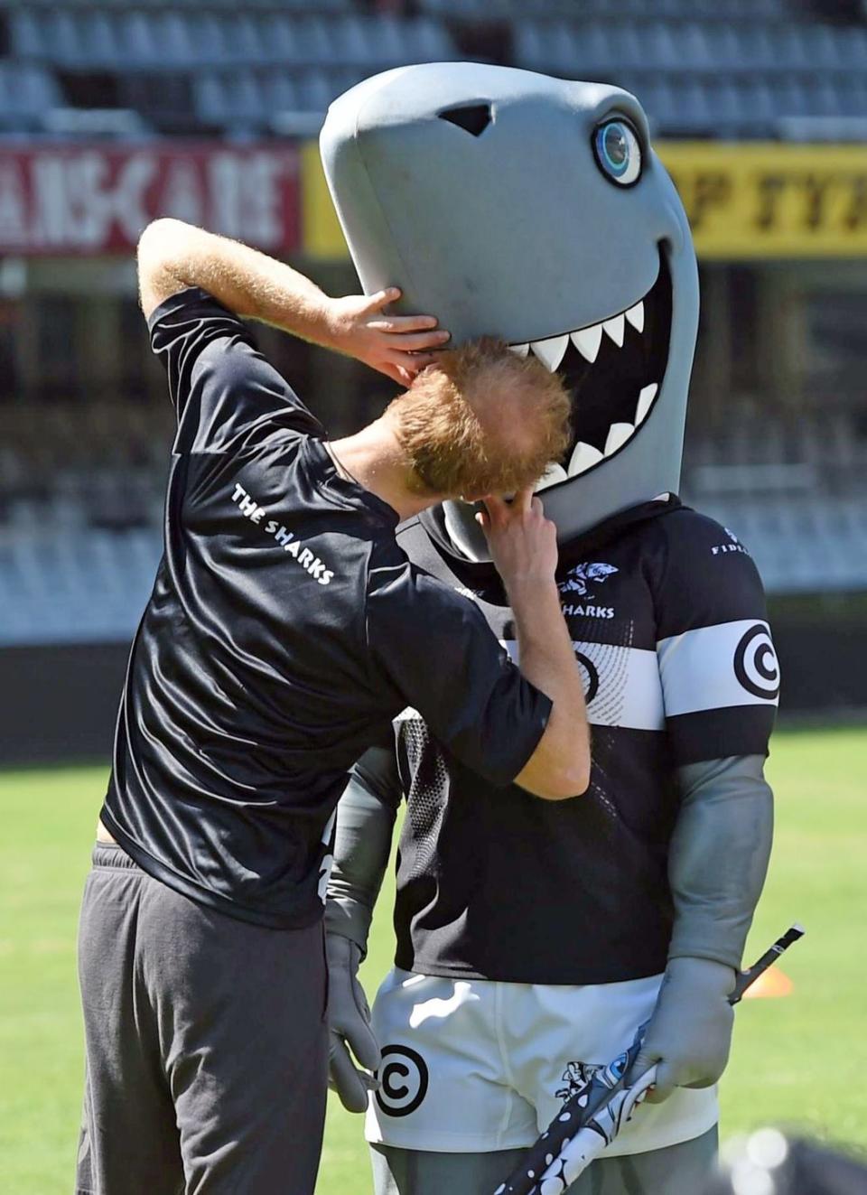 Prince Harry gets acquainted with a shark.