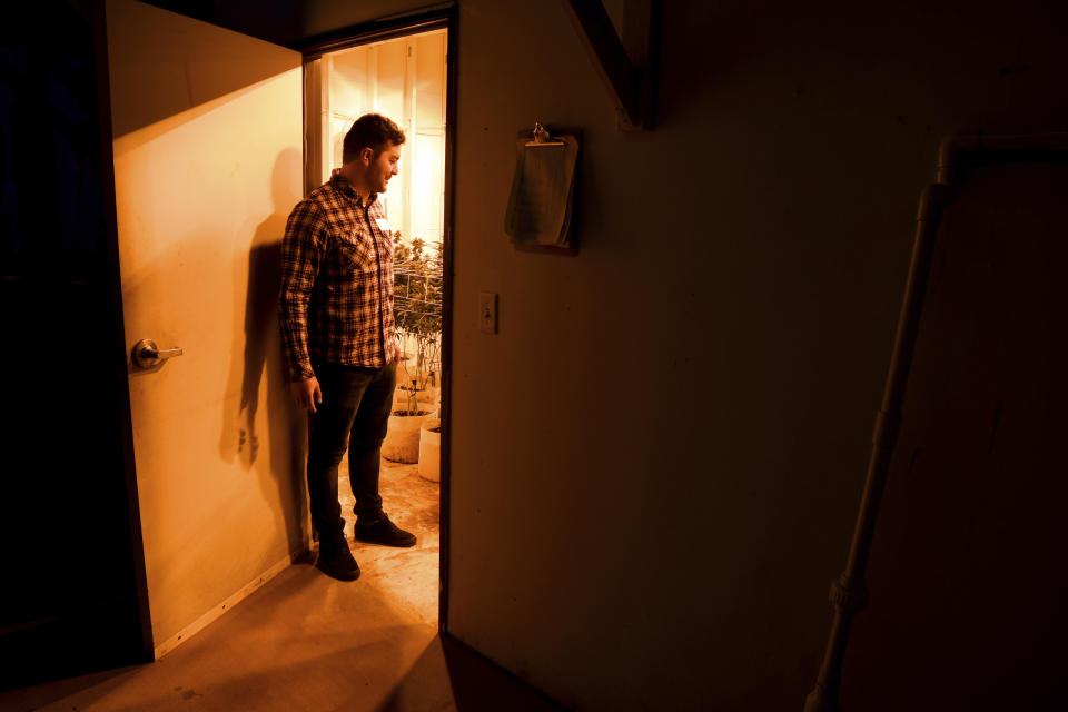 FILE - In this April 3, 2019, file photo, Oswaldo Barrientos stands in the doorway of a grow room at the marijuana facility where he works near downtown Denver. Immigration authorities on Friday, April 19, 2019 said that anyone with any involvement with marijuana, regardless of whether it's legal in the state they live in, can be denied from citizenship because the drug is still outlawed by federal law. (AP Photo/Thomas Peipert, File)