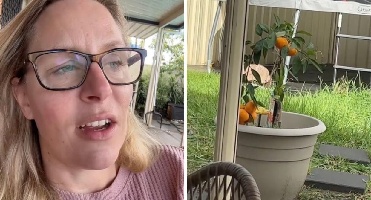 The British tourist in her video (left) and a citrus plant (right).