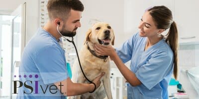 Synchrony and PSIvet will help provide veterinary practitioners with the tools they need to offer pets and pet parents the highest level of care possible.