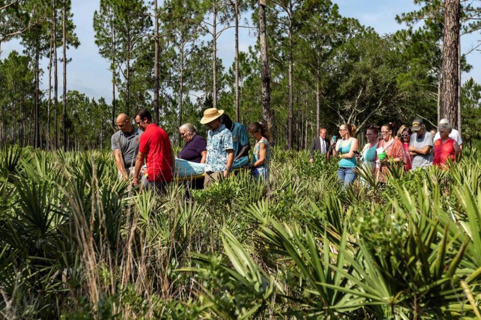 Pallbearers carry the body of a loved one, wrapped in a shroud, through Heartwood Preserve Conservation Cemetery near Tampa, Florida.