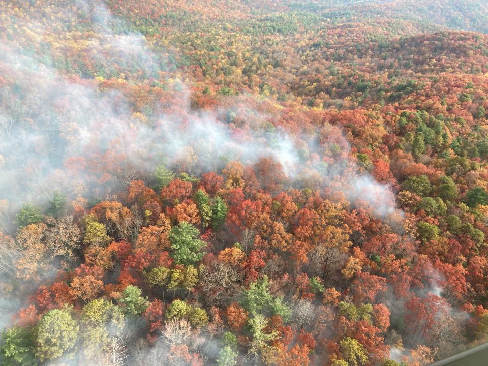 Smoke from the Mill Mountain wildfire rises near Mountain Rest, South Carolina on Nov. 9. Courtesy of the Sumter National Forest