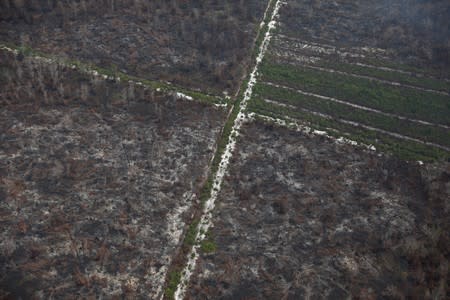 The Wider Image: Indonesia's firefighters on frontline of Borneo's forest blazes