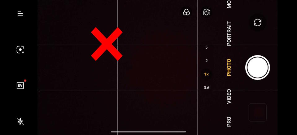 The rule of thirds in the OnePlus 12R camera app