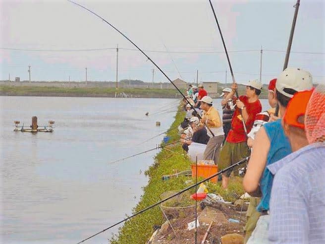 雲林縣沿海地區虱目魚躲過寒冬，養殖業者開放收費垂釣。（本報資料照片）