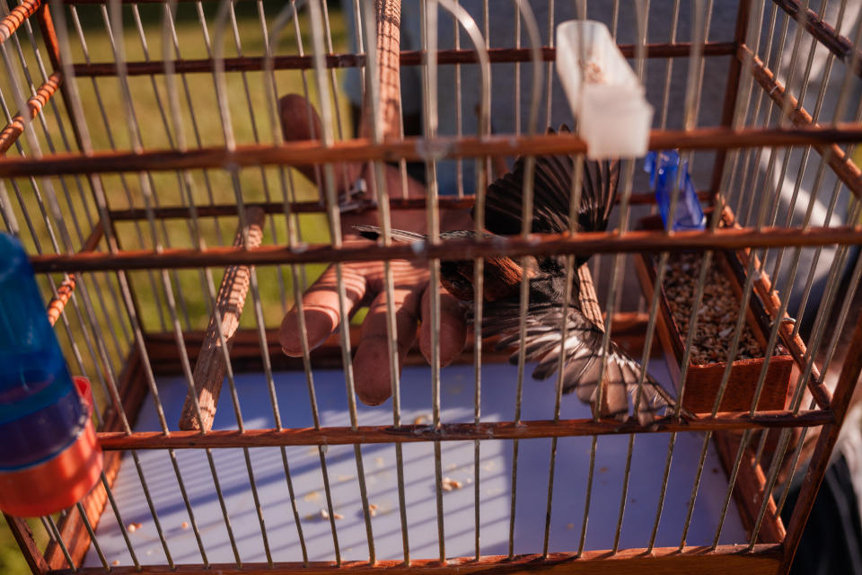 Dueños de aves se reúnen en un parque en Paramaribo, Surinam. (Adriana Loureiro Fernandez/The New York Times)
