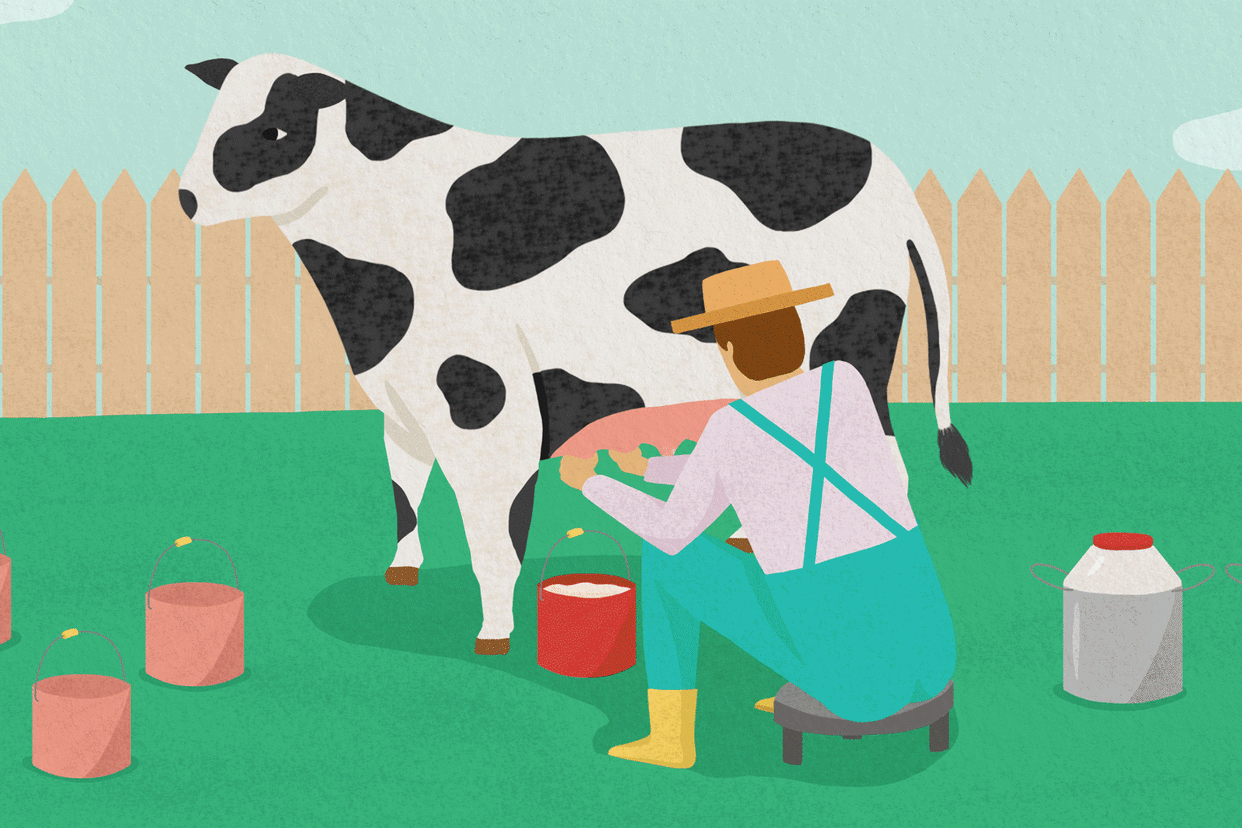 Climatarian-Know-Your-Farmer: animation of milk production from farm to table