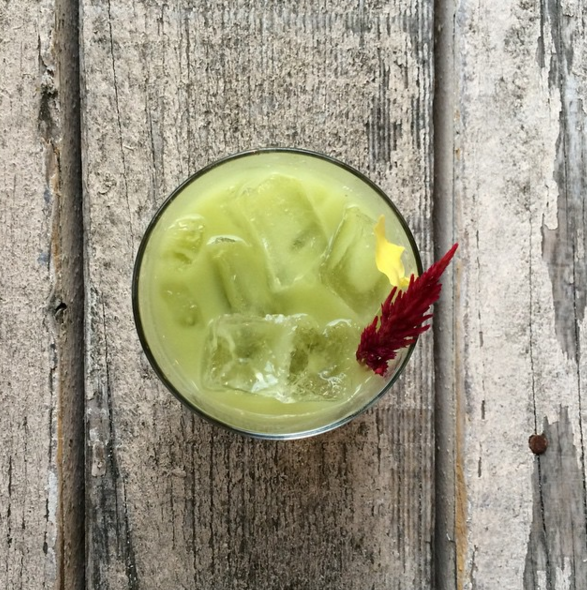 Avocado Cocktails: Restorative in More Ways Than One