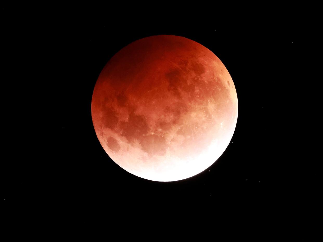 blood moon auckland