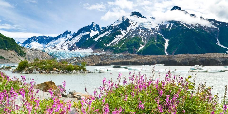 25) Glacier Bay National Park & Preserve — Alaska