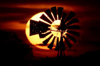 The sun sets behind a tattered windmill Tuesday, June 18, 2019, near Tappen, N.D. (AP Photo/Charlie Riedel)