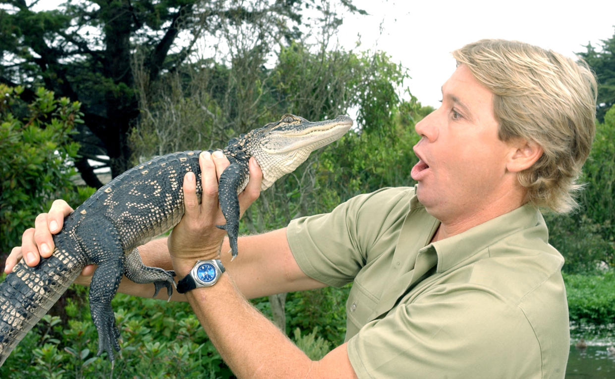 "The Crocodile Hunter" Steve Irwin was the subject of a joke between two baseball teams about the sea creature responsible for his death. (Photo by Justin Sullivan/Getty Images)