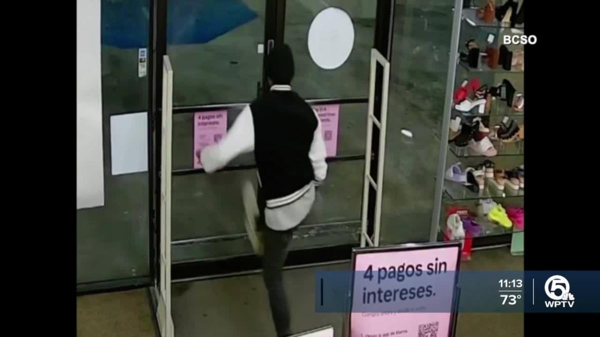 Cameras Capture Chaotic Shoplifting In Broward County