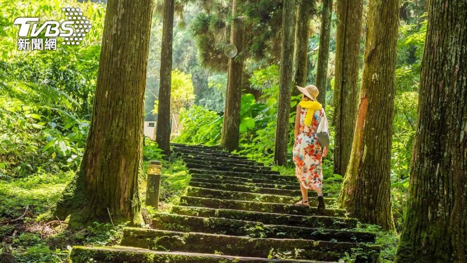 節氣「驚蟄」天氣轉暖、春雷響起。（示意圖／shutterstock 達志影像）