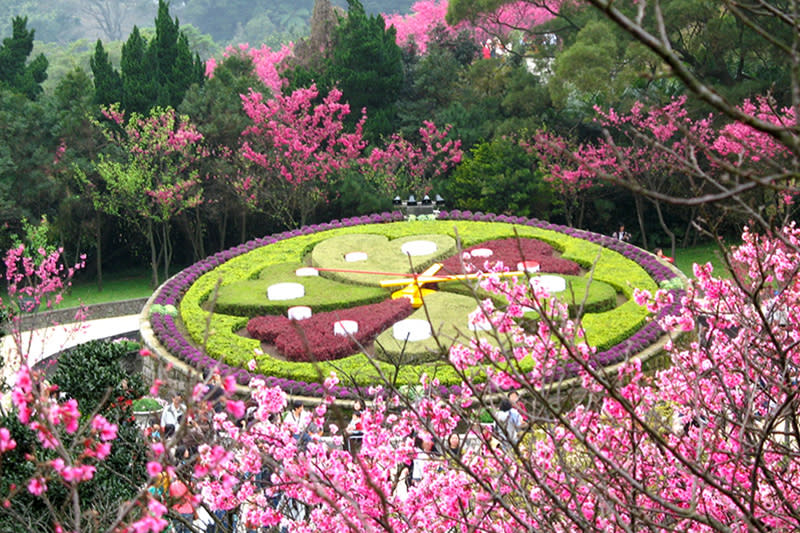 陽明山花季（圖片來源：花in台北）