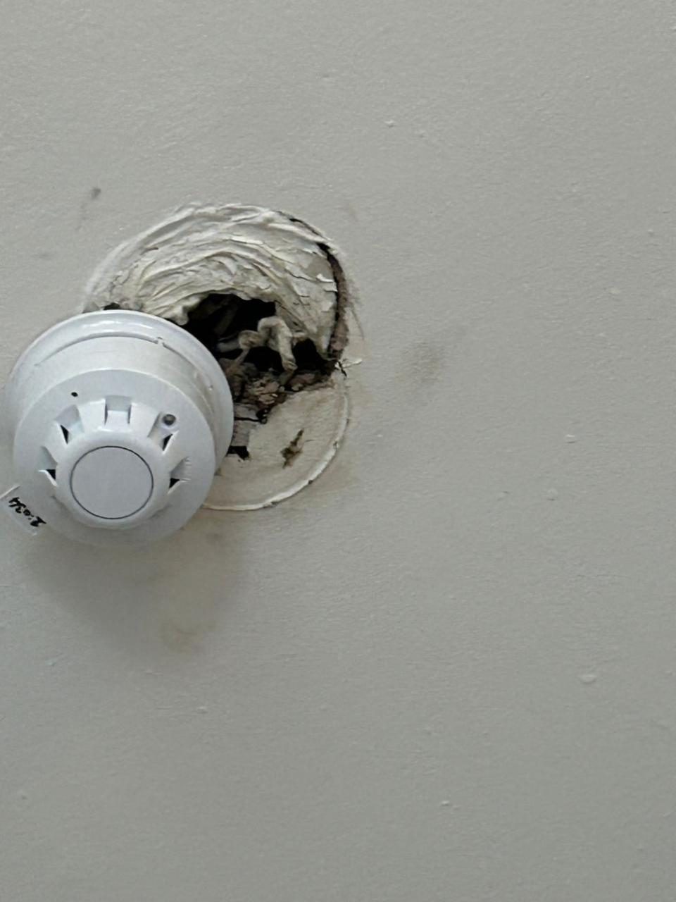 Glasgow Times: The smoke alarm appeared to be broken 