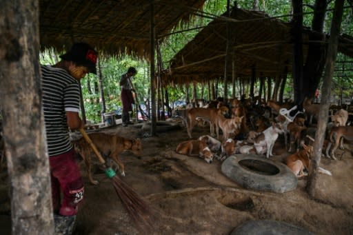 An estimated 1,000 people die from rabies each year in Myanmar, one of the highest rates in the world and a conservative estimate according to experts