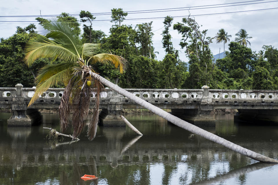 Fajardo in the hours before Dorian was expected to hit Wednesday. (Photo: Dennis M. Rivera Pichardo for HuffPost)