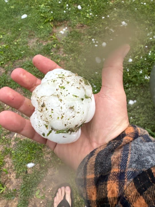 Lampasas hail | Courtesy: Fox Family