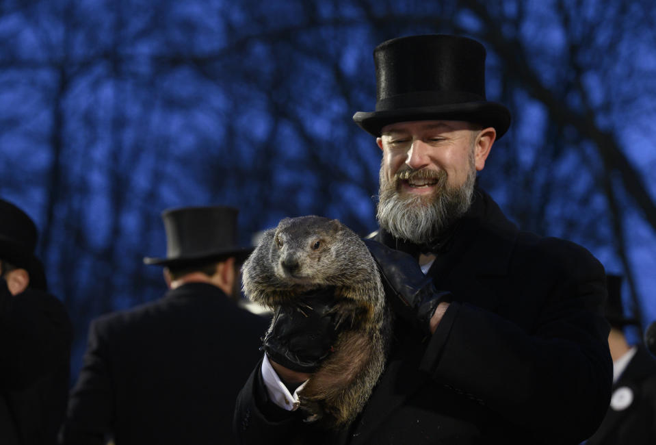 Punxsutawney Phil, ici lors du « jour de la marmotte », aux États-Unis, vendredi 2 février. 