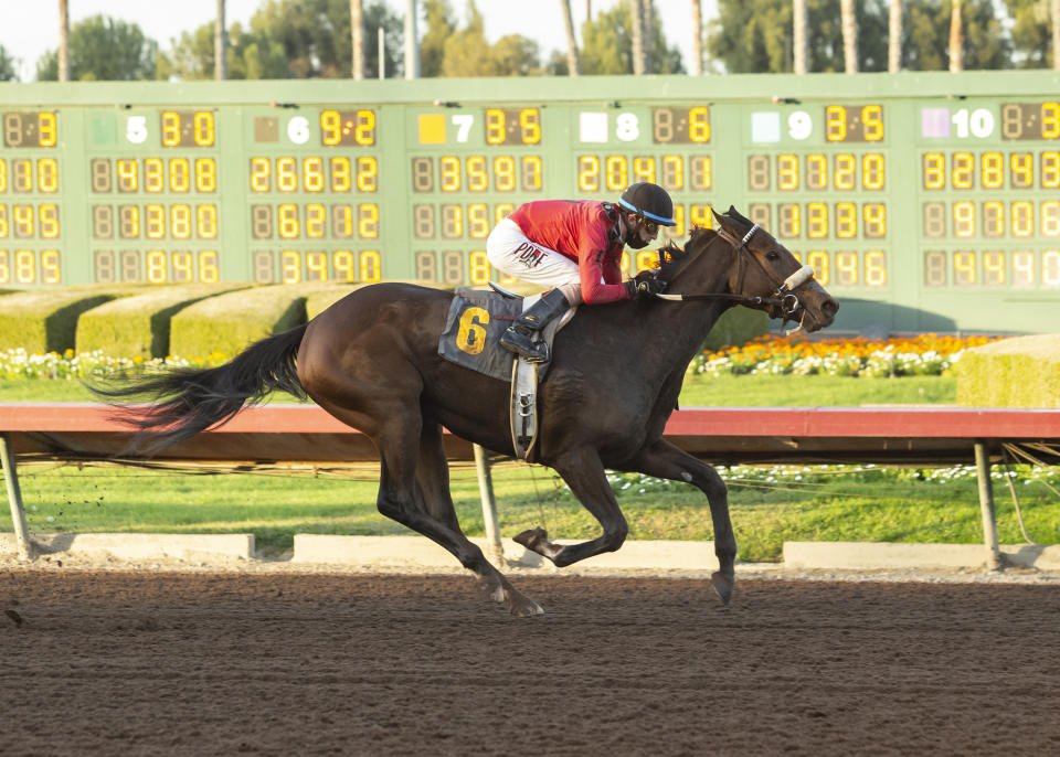 In a photo provided by Benoit Photo, Sensible Cat and jockey Juan Hernandez win the $100,000 Soviet Problem Stakes horse race Saturday, Dec. 12, 2020, at Los Alamitos Race Course in Cypress, Calif. (Benoit Photo via AP)
