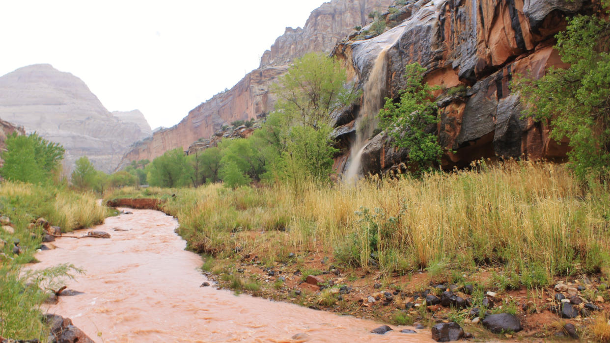  A flash flood in the desert. 