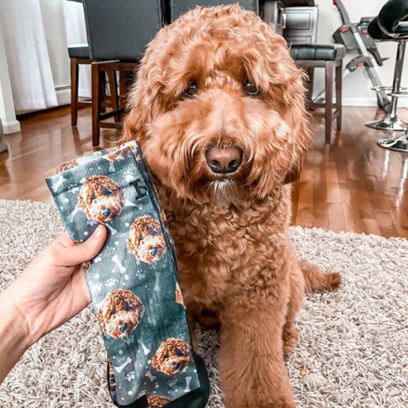 9) Customized Dog Socks