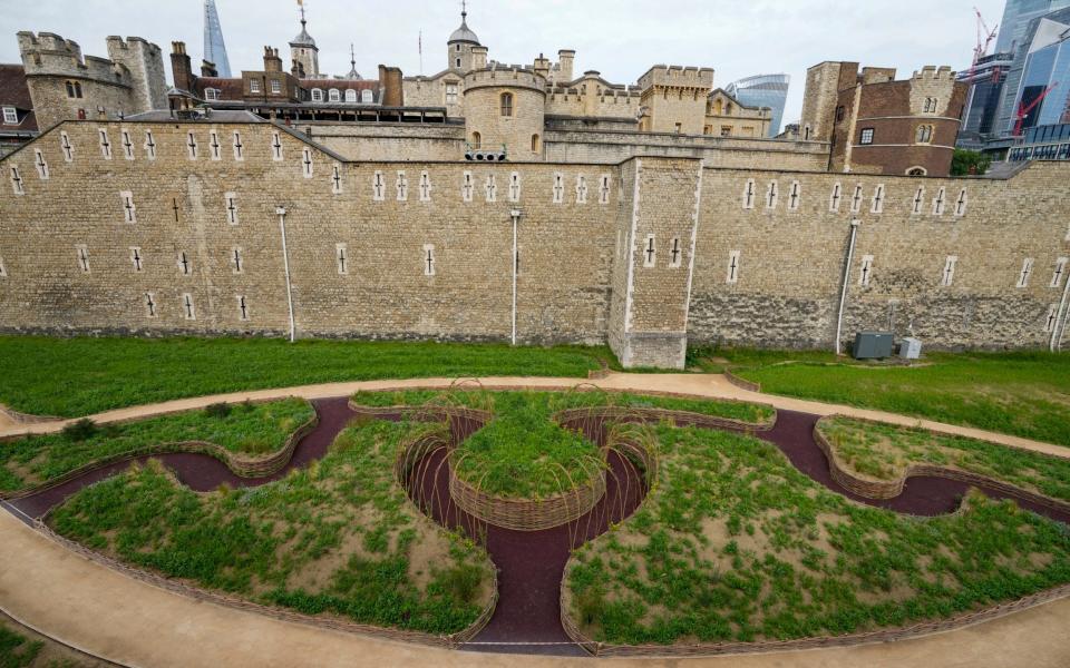 The planned sea of flowers, planted in the spring, has been left looking like seedlings - Paul Grover for the Telegraph 