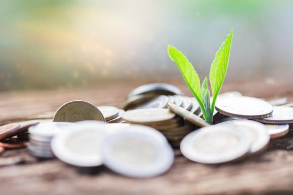 A plant sprout surrounded by a pile of coins.