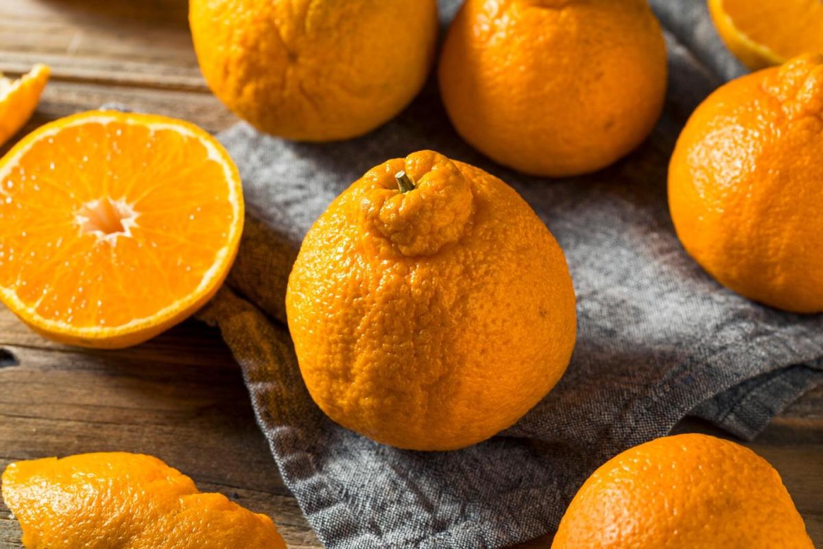 Sumo Orange = Tangerine + Navel Orange, 30 years in the making – A  Contemplative Compilation