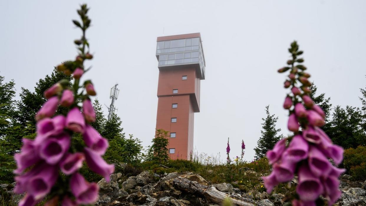 Der neue Wurmberg Turm bei Braunlage soll Mitte August offiziell eröffnet werden. Foto: Christophe Gateau