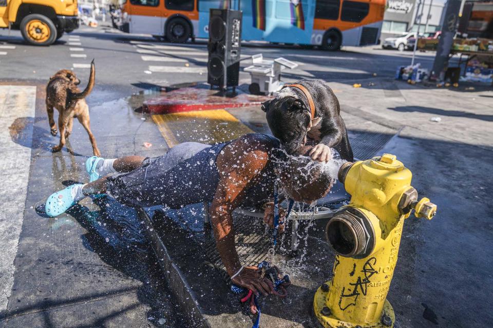 2022年8月31日，美國洛杉磯，酷熱天氣下，一名男子和他的狗由消防栓取水降溫。