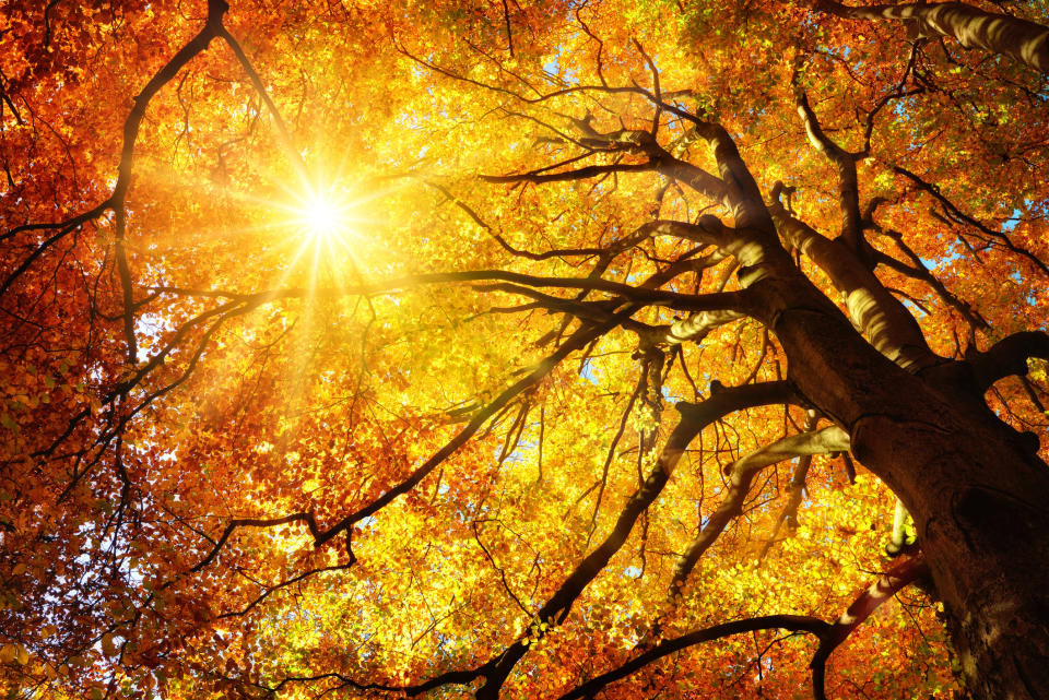 Bauern halten einen regnerischen Herbst für ein gutes Zeichen. (Symbolbild: Getty Images)