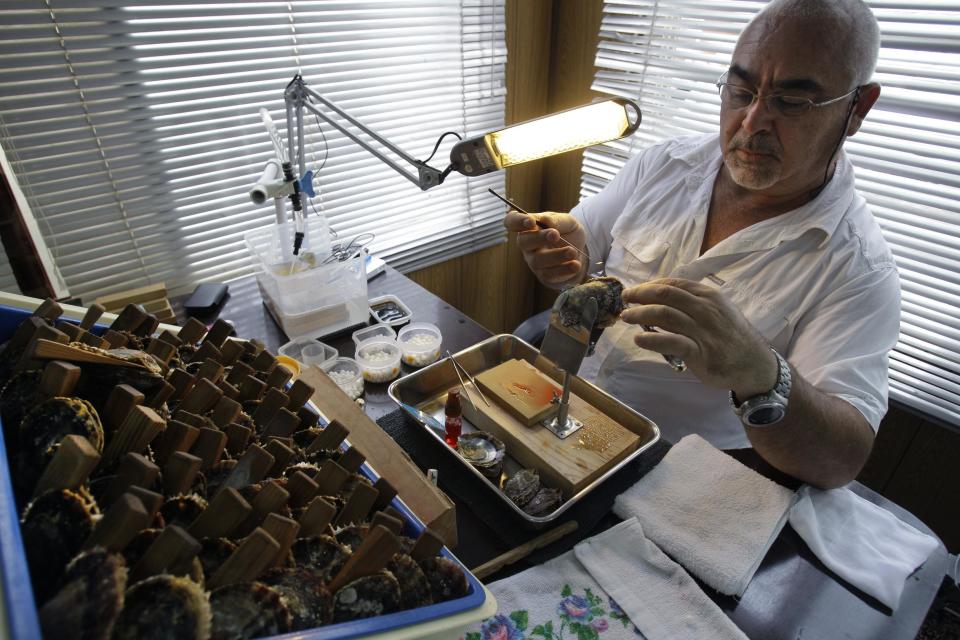 In this Wednesday, April 4, 2012 photo, Lotfi Hassaid, general manager of RAK Pearls Holding, inserts mantle tissue, which will encourage the growth of a cultured pearl, into an oyster at the company's laboratory in Ras al-Khaimah. Long before the discovery of oil transformed the Gulf, the region's pearl divers were a mainstay of the economy. Their way of life, however, also was changed forever after Japanese researchers learned how to grow cultured pearls in 1930s. Now a collaboration between pearl traders in Japan and the United Arab Emirates had brought oyster farming to the UAE for the first time. (AP Photo/Kamran Jebreili)