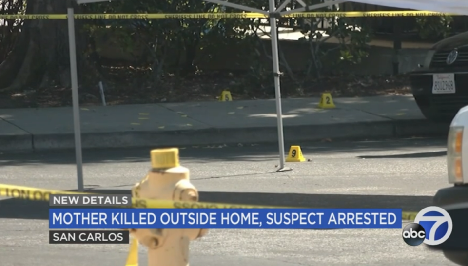 A young mother of two was decapitated by a sword outside her Bay Area home where ‘several’ witnesses saw her violent death, local news reported (ABC 7/video screengrab)