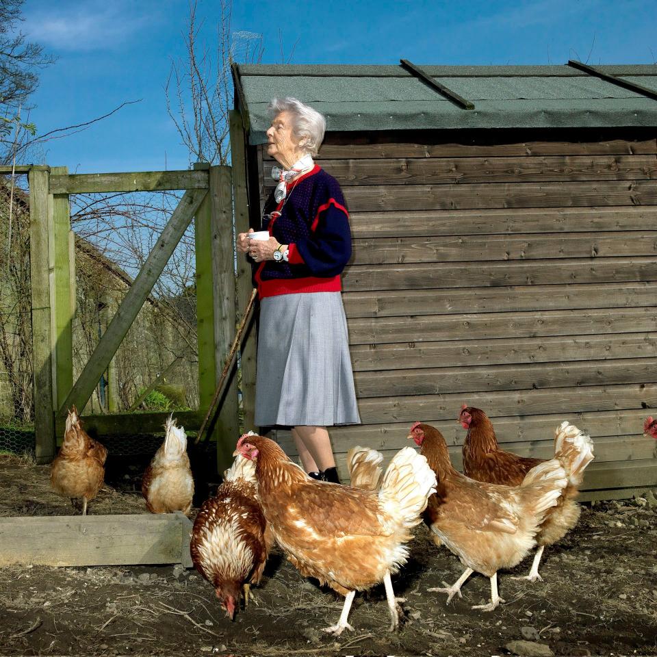 debo with chickens