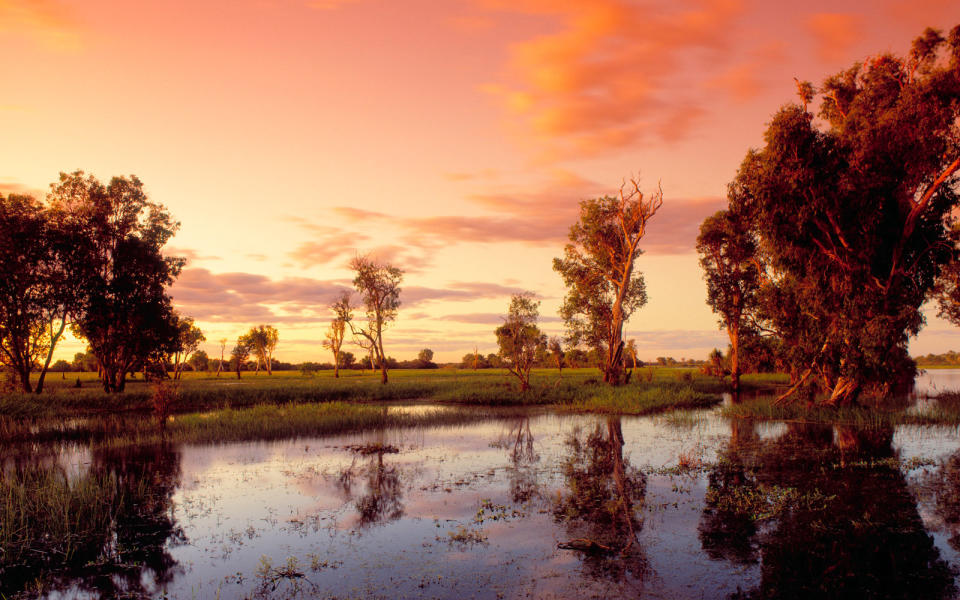 Yellow Water at dawn, in Kakadu National Park.