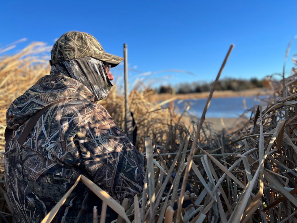 A duck hunter sits amid cattails and reeds along a publicly conserved wetland south of Madison.