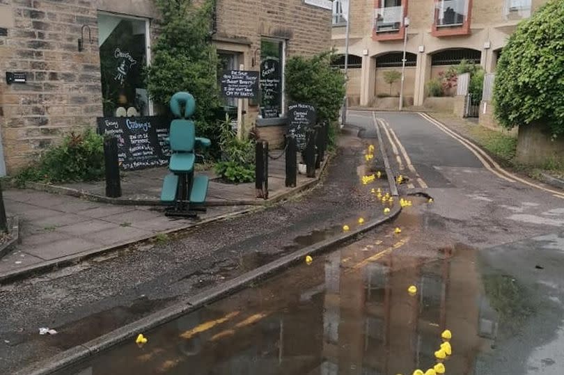 The pool of water with rubber ducks in