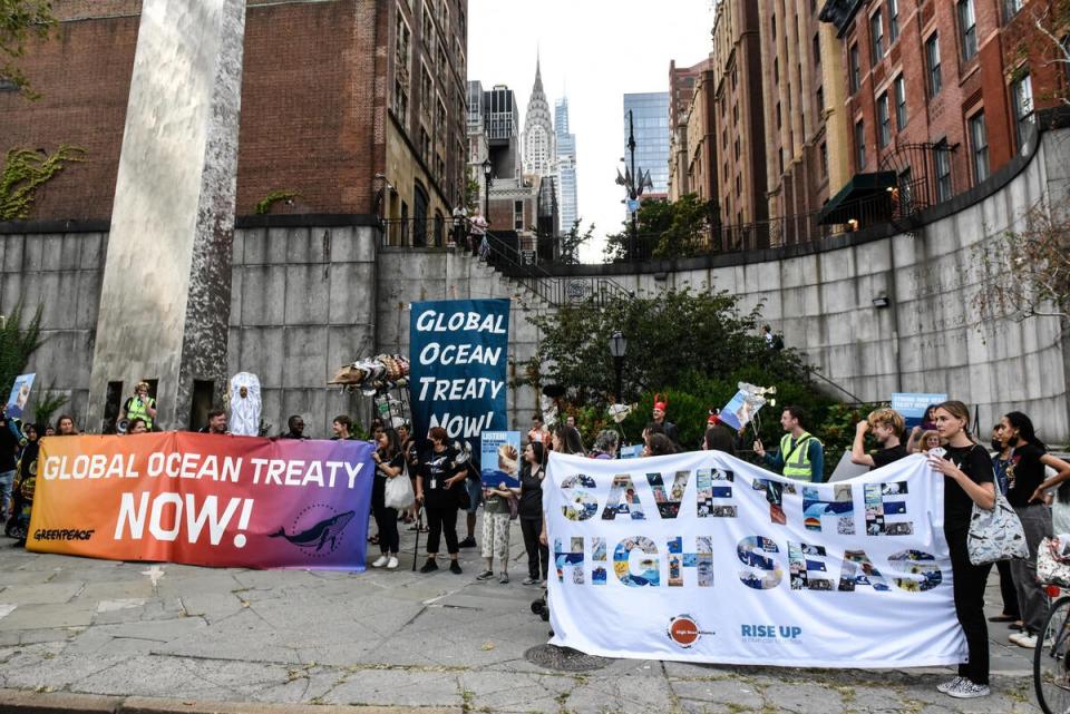 United Nations negotiations for a new Global Ocean Treaty are stalling and activists are demanding that a robust treaty is created by the end of 2022 (Â© Stephanie Keith / Greenpeace)