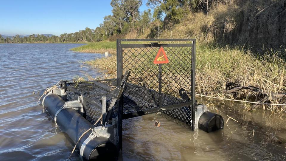 A floating trap has been deployed in the Fitzroy River to remove the crocodile safely.