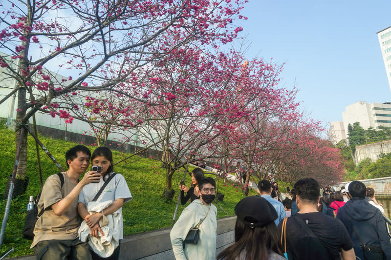 今晴朗晨有霧 周六北東略轉濕涼 下周將暖如夏