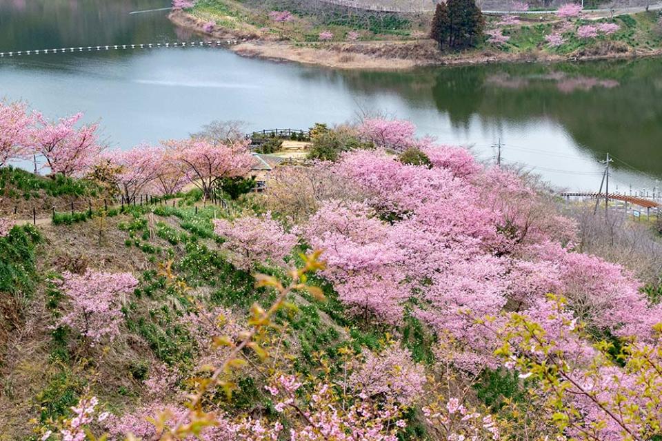 佐久間水壩湖（Image Source : Getty Creative/iStockphoto)