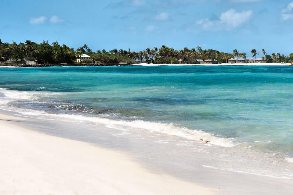 Mustique Panorama of Macaroni Beach with Palm trees